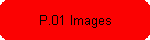 P.01 Images