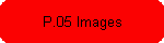P.05 Images
