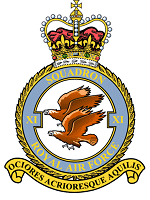 11 Squadron
Badge