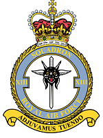 13 Squadron
Badge