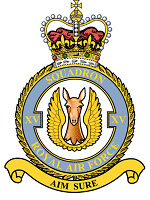 15 Squadron
Badge